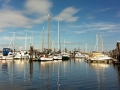 Port McNeill Hotel Views